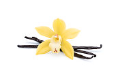 beautiful orchid flower with vanilla beans on white