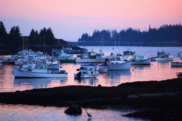istock Lobster Boats at Dusk 1207548038