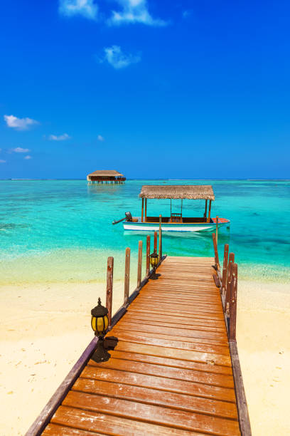 istock Boat and bungalow on Maldives island 1207552522