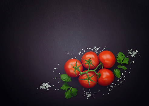 Red tomato and basil  on a dark background.. Top view. Composition from tomato and fresh herb. Spring diet. Tomato pasta recipe. Top view with space for your text. tomatoes with provencal herbs, basil
