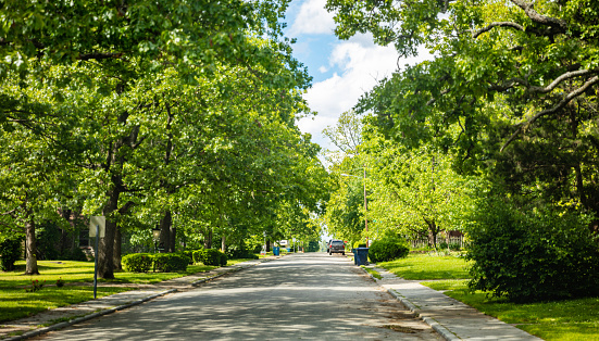 Parked cars on a peacefull empty street in a residential suburb, southwest USA. Green tree foliage and blue sky, springtime