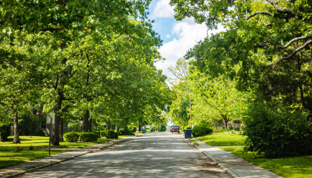 Empty street under green trees and blue sky in spring. Residential neighborhood in southwest USA. Parked cars on a peacefull empty street in a residential suburb, southwest USA. Green tree foliage and blue sky, springtime district stock pictures, royalty-free photos & images