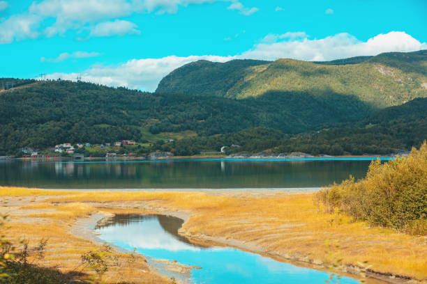 istock Mountain river. Beautiful nature of Norway 1207553873