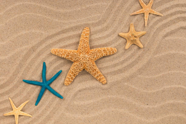 istock Starfish lying on zigzag lines of sand. Copy space. 1207554364
