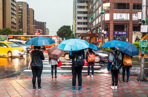 Taipei, Taiwan - Rear view of a group of pedestrians sheltering under umbrellas as they wait to cross the road in downtown Taipei.