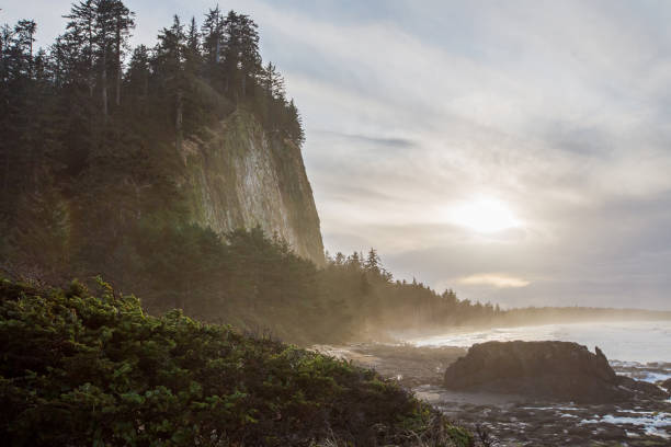 istock Towhill and Blowhole 1207556032