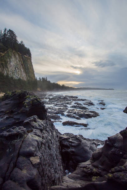 istock Towhill and Blowhole 1207557864