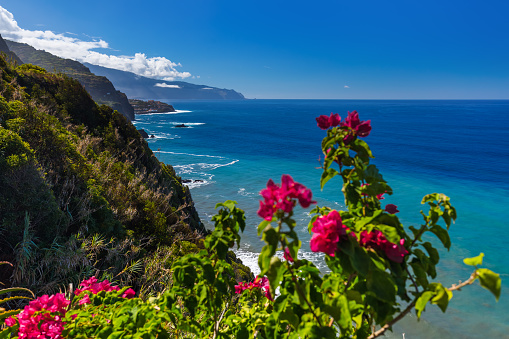 Flowers on coast in Boaventura - Madeira Portugal - travel background