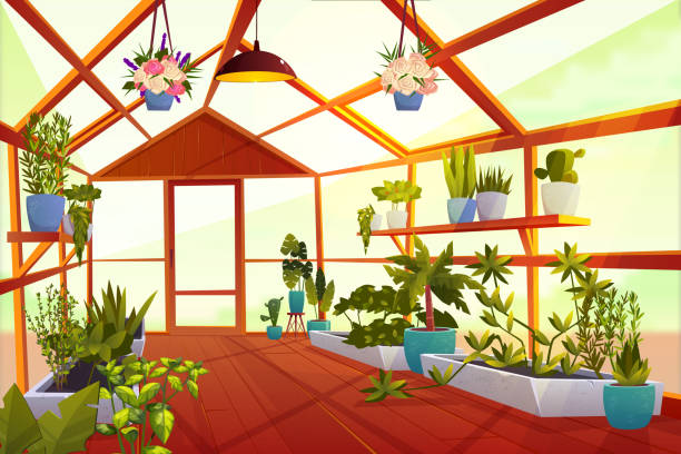 ilustrações, clipart, desenhos animados e ícones de interior da estufa com jardim dentro, laranjal - greenhouse house built structure green