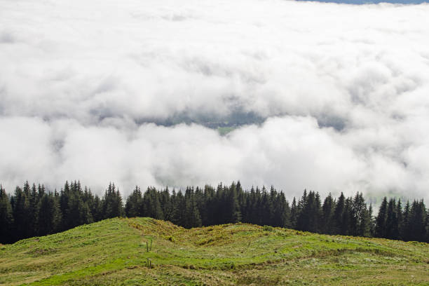 белый туман суп, который охватывает долину саалах - inversion layer стоковые фото и изображения