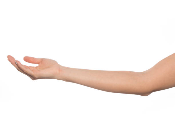 istock empty female hand holds something isolated on a white background 1207559870
