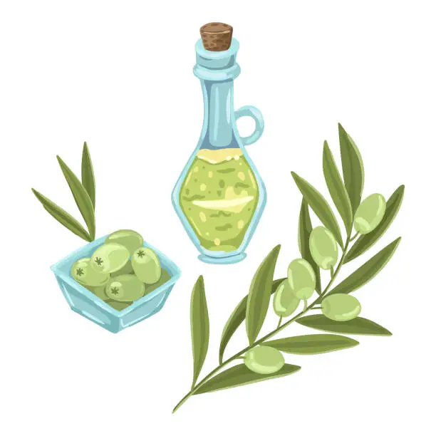 Vector illustration of Olive set. Bottle of olive oil and a branch of green olive, a plate with a snack to drink. Vector isolated illustration.