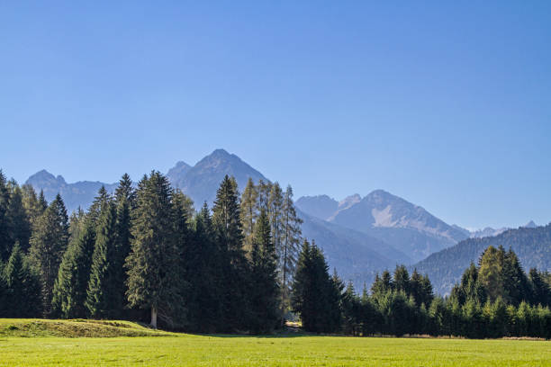 paysage dans la vallée de lech - forchach photos et images de collection