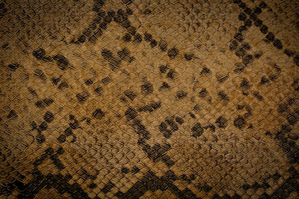 Snake skin texture brown black orange