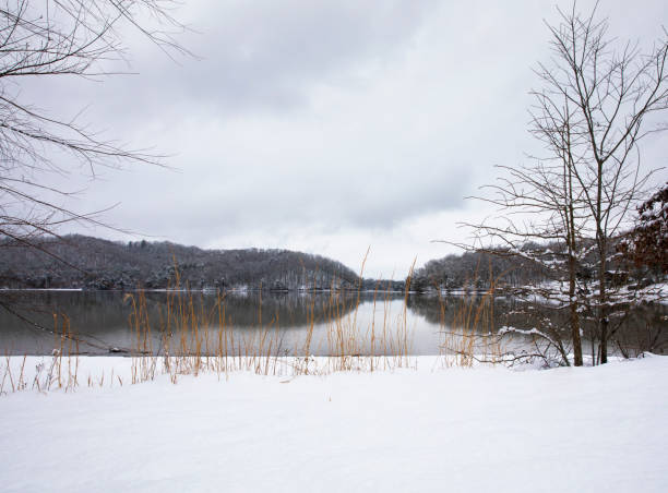 istock Snowy Lake Scene 1207564275
