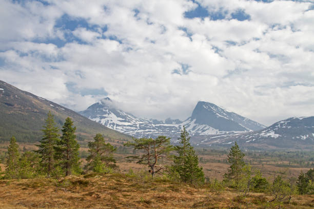 istock Vaksvikfjellet is a popular hiking paradise  n Norway 1207564563
