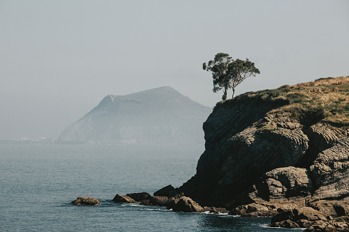 Couple of trees standing on the edge of the cliff above the Bay of Biscay near the spain town Castro Urdiales during the summer morning with blue sky and haze above the horizon in background.