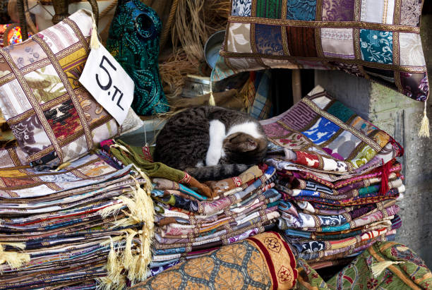 Cat seller sleeps curled up on embroidered pillow. Turkish market Grand Bazaar in Istanbul, Turkey.