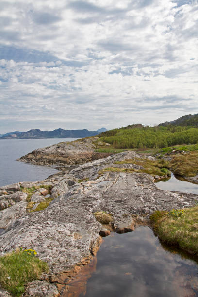 istock Coastal landscape at Nordsaltenfjord 1207568558