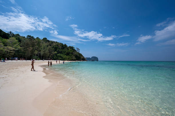 Aerial summer view of a secluded white sand beach in Phuket, Thailand. People are walking along the beach, swimming in the turquoise water or laying down resting on the white sand beach.