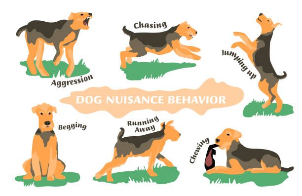 illustrazioni stock, clip art, cartoni animati e icone di tendenza di icone dei problemi di comportamento del cane impostate - cane morde coda
