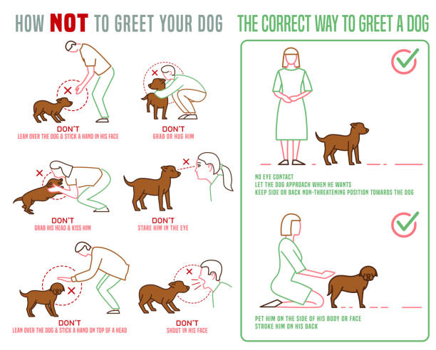 illustrazioni stock, clip art, cartoni animati e icone di tendenza di poster saluti cane - cane morde coda