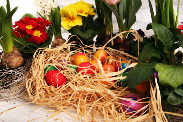 istock Easter eggs hiding in the grass with daffodil, tulips and other spring beautiful flowers 1207575073