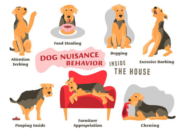 illustrazioni stock, clip art, cartoni animati e icone di tendenza di icone dei problemi di comportamento del cane impostate - cane morde coda