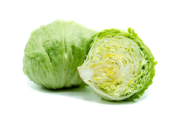 iceberg lettuce isolated on white background - head cabbage imagens e fotografias de stock