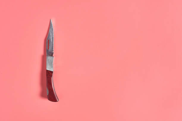 istock One metal tourist knife with wooden handle. Survival concept. Top view. Copy space 1207578607