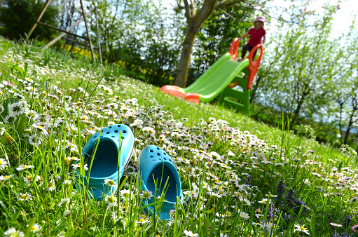 A spring meadow with daisies and a children's slide invites you to play