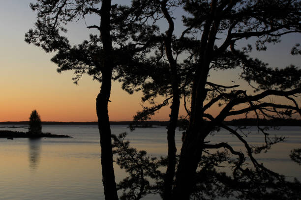 istock Morning scene in Dalsland, Sweden. 1207583294