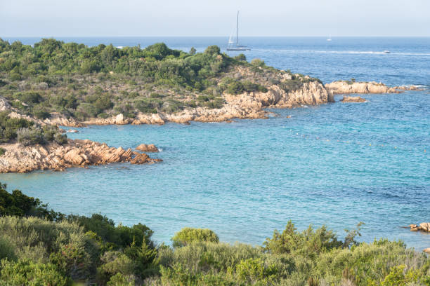 istock Principe Beach, Sardinia, Italy 1207583356