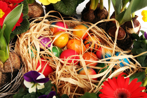 istock Easter eggs hiding in the grass with daffodil, tulips and other spring beautiful flowers 1207587868