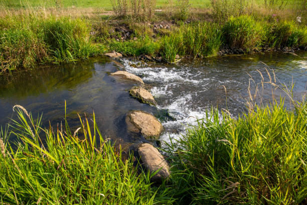 istock Bach with slopes and stones grass and flowers on the edge 1207587995