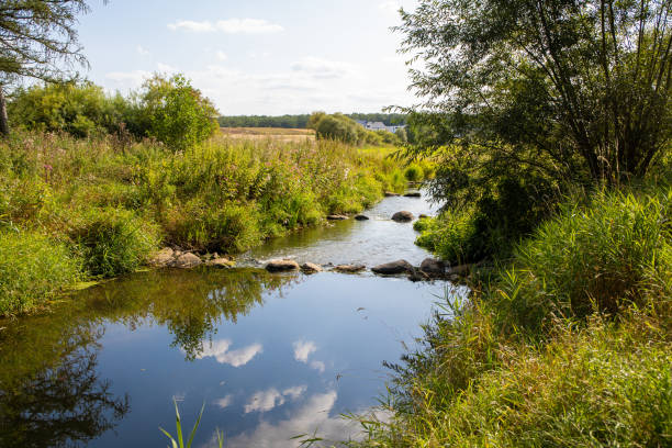 istock Panorama view with grasses a stream with stones and a blue sky me clouds 1207588130