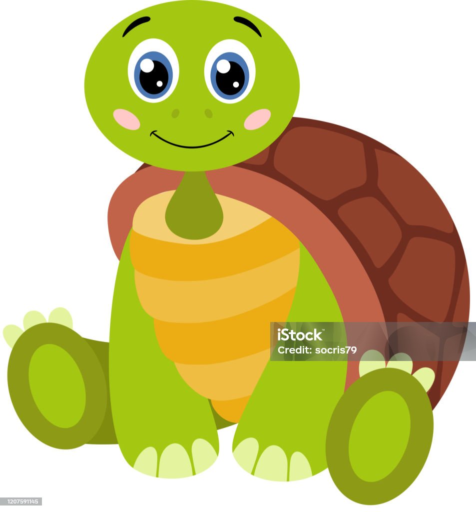 Rùa Dễ Thương Ngồi Trên Sàn Nhà Hình minh họa Sẵn có - Tải xuống ...