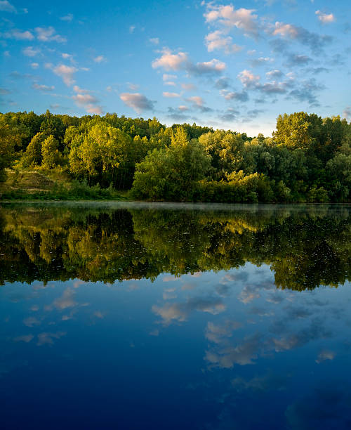 istock On the bank of River Forest 120759510