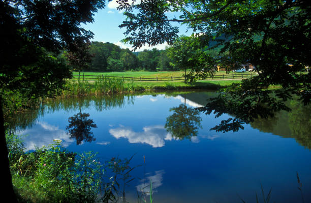 Reflection of clouds in a pond in Historic village of Grafton, Vermont, USA