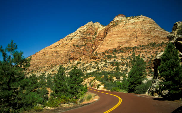 istock Empty road winding through, Zion Park, Utah, USA 1207599902