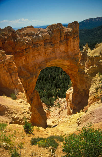 istock Bryce Canyon, Utah, USA 1207599905