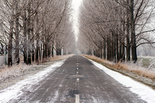 Winter road in the hungarian countryside.