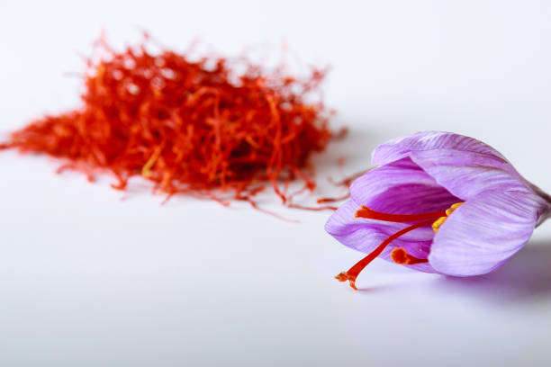 istock Fresh saffron flower on a background of dried saffron on a white table. 1207602202