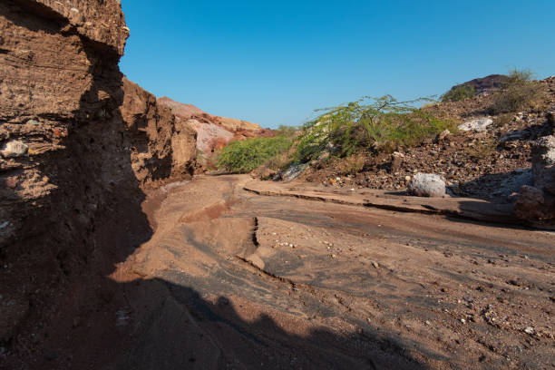 istock Hormuz Island, Iran 1207604306