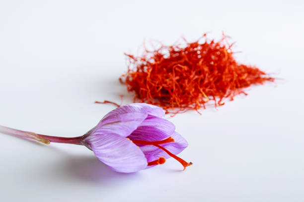 istock Fresh saffron flower on a background of dried saffron on a white table. 1207604431