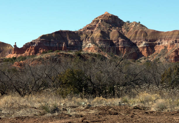 istock View of Palo Duro Canyon, Texas. 1207604936