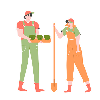 Couple is gardening. Guy holds a pot of fresh herbs. Girl stands and holds a shovel. Eco life style, growing plants at home. Vector flat illustration.