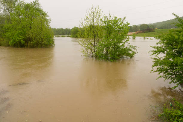 istock Flooding in Tennessee 1207606280