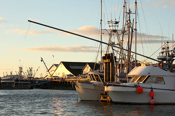 istock Steveston Harbor, Fisherman's Docks, British Columbia 120760835