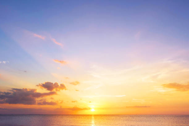 istock Environment Day Concept: Beautiful sunset on the beach and sea 1207632206